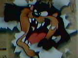 TAZ