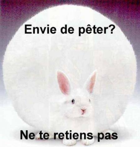 FAIS COMME CHEZ TOI